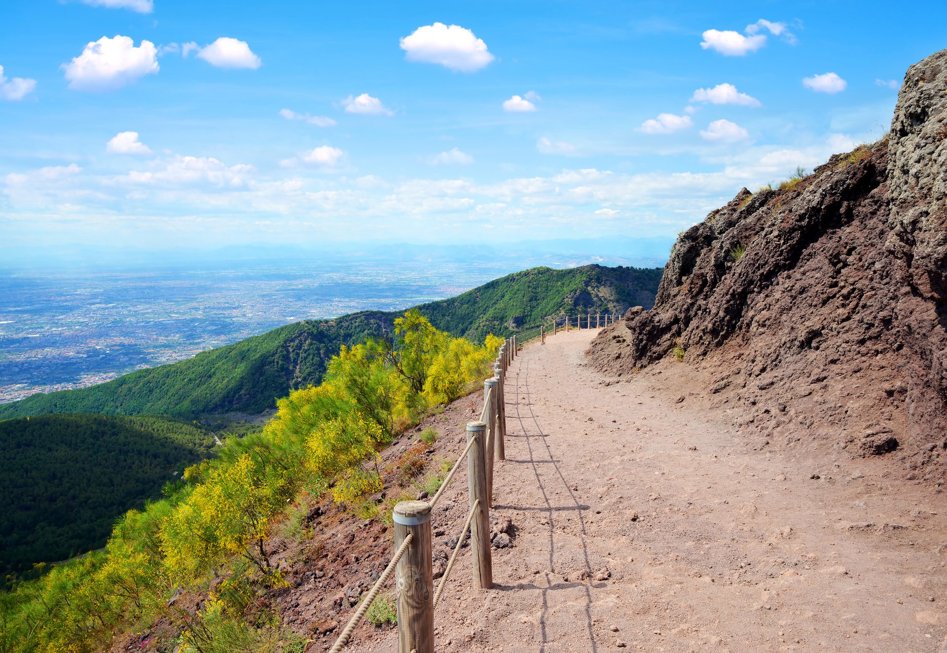 Vesuvius and Herculaneum Tour